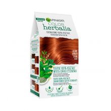 Garnier - Coloration 100% végétale Color Herbalia - Châtaigne acajou